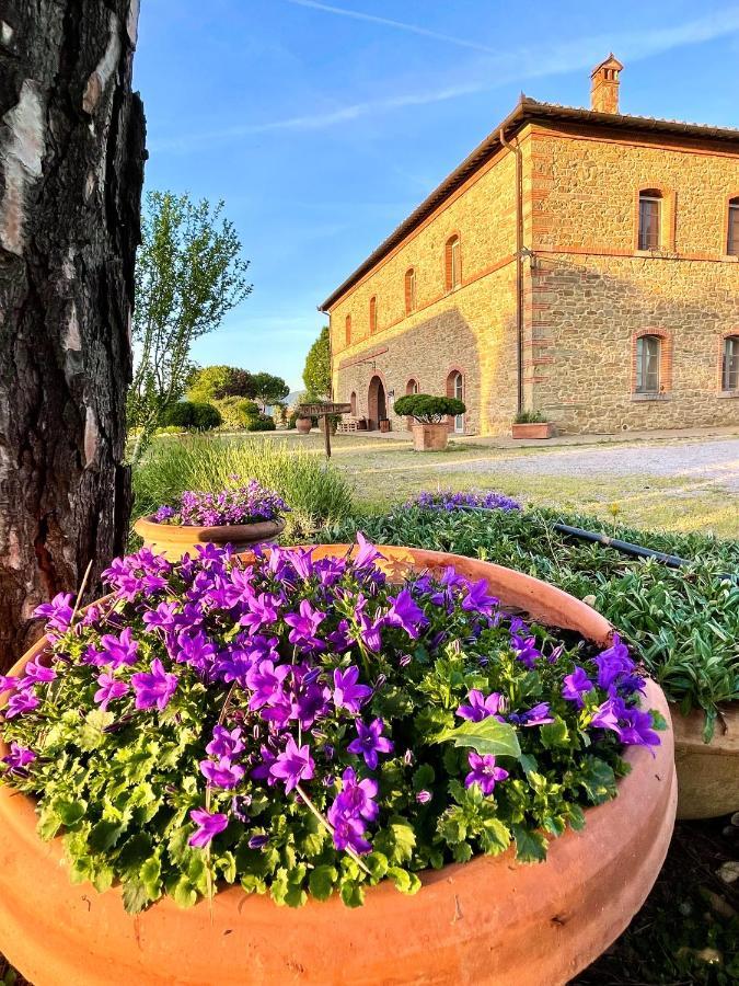 Agriturismo La Colmata Cesa  Exterior foto